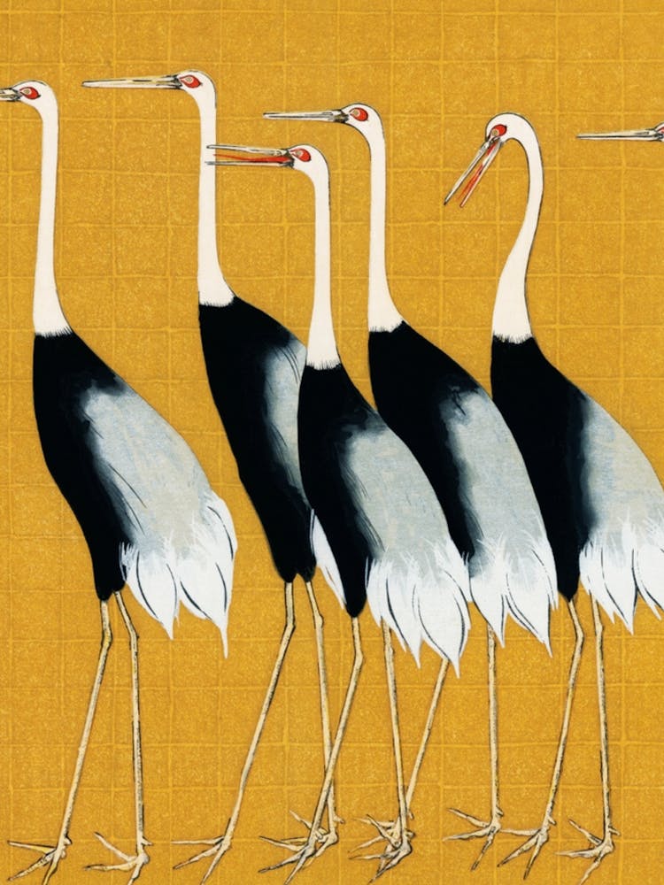 Cranes