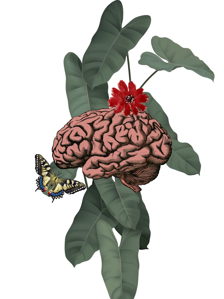 Brain And Flower