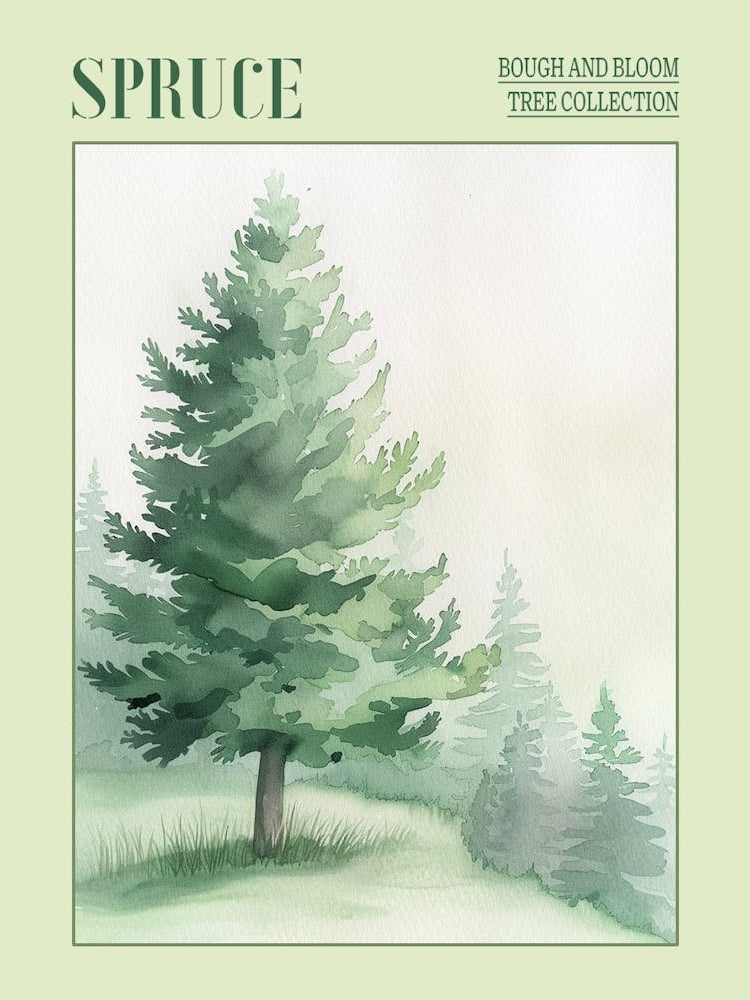 Spruce Tree Atmospheric Watercolour Painting 1 Poster