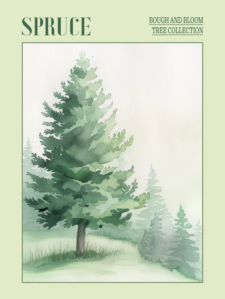 Spruce Tree Atmospheric Watercolour Painting 1 Poster