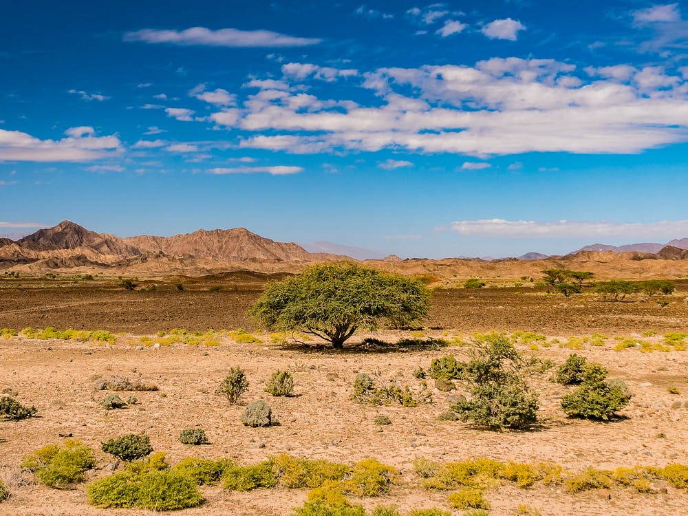 Desert In Oman