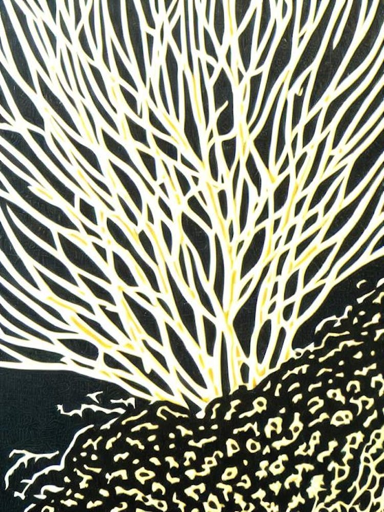 Acropora Sarmentosa Linocut