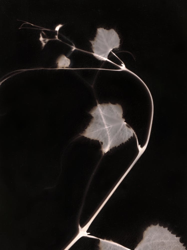 Tendril