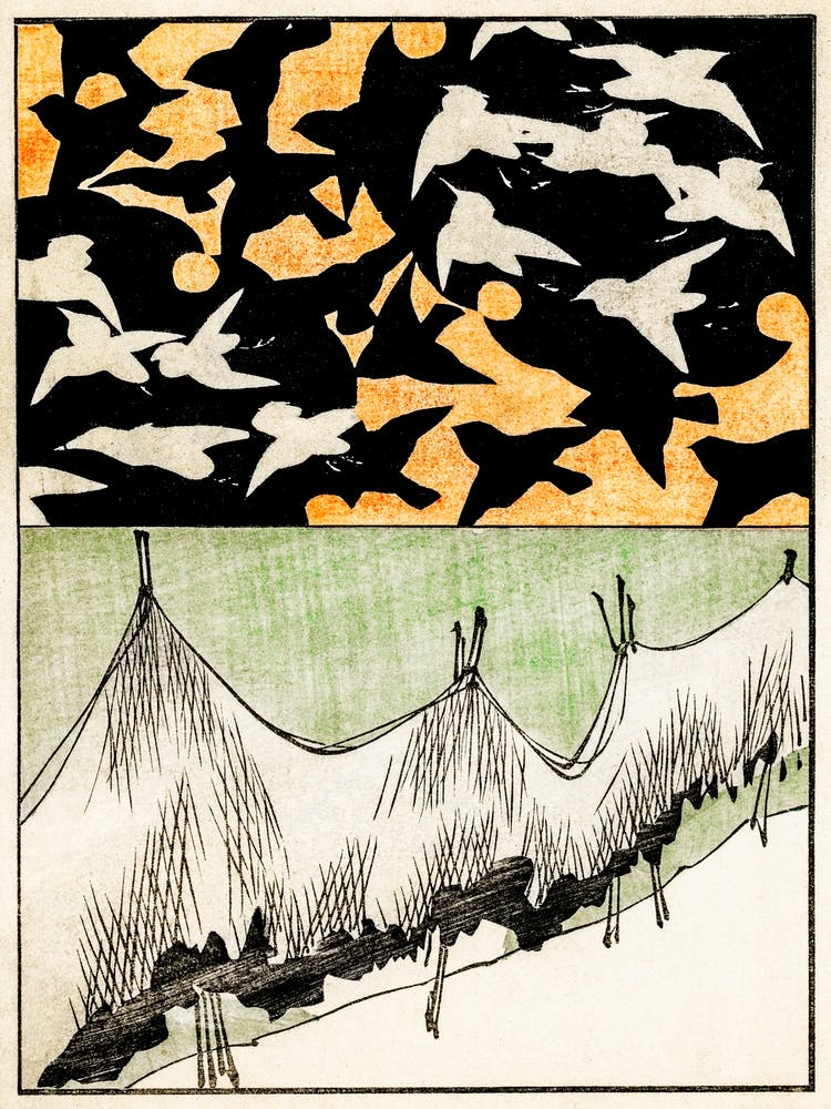 Forest Life Illustration, Shin Bijutsukai