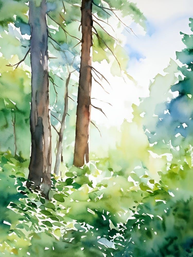 Watercolor Of Trees 7
