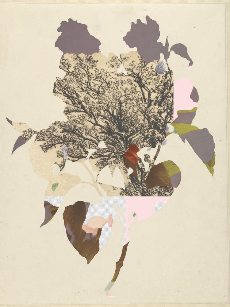 The First Plant � G2