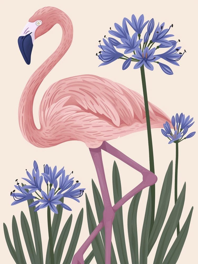 Chilean Flamingo Agapanthus Minimalist Illustration 2