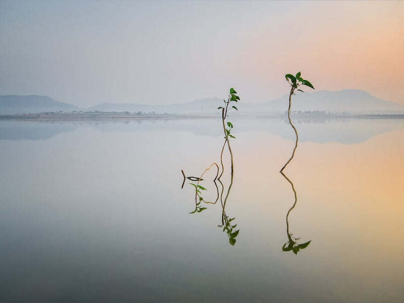 Reflection Of Life