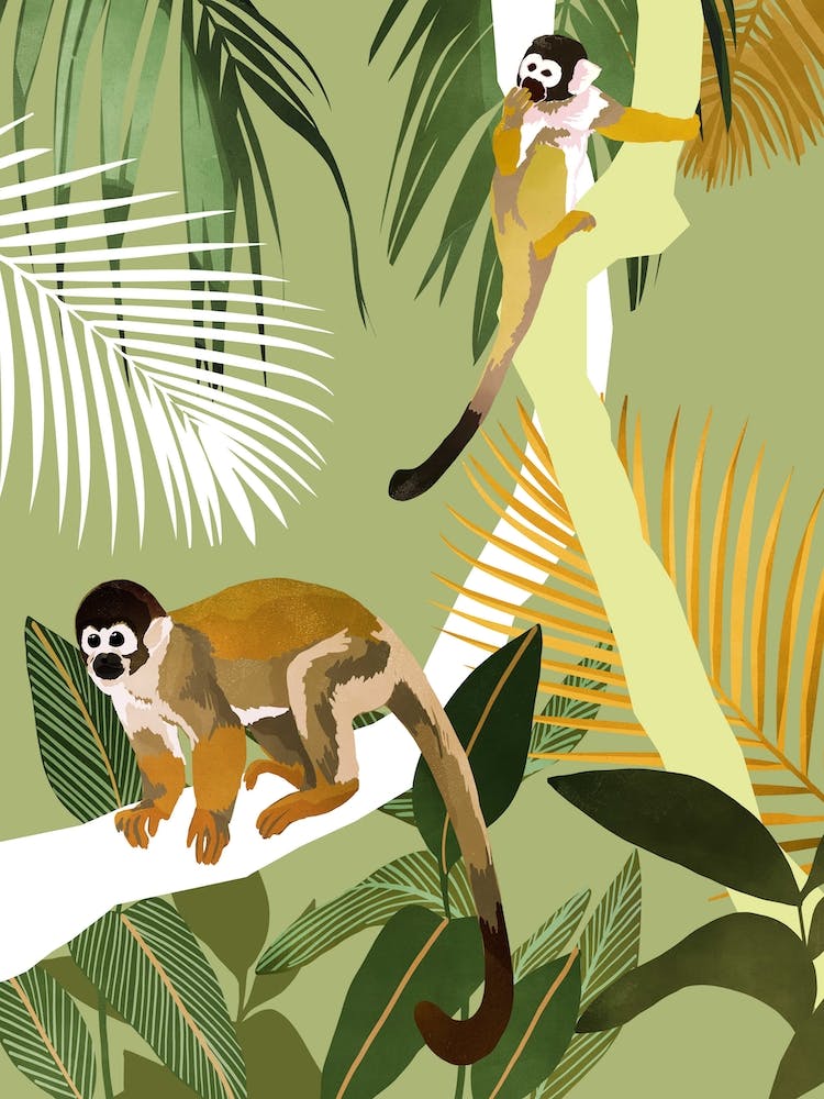 Monkey Friends