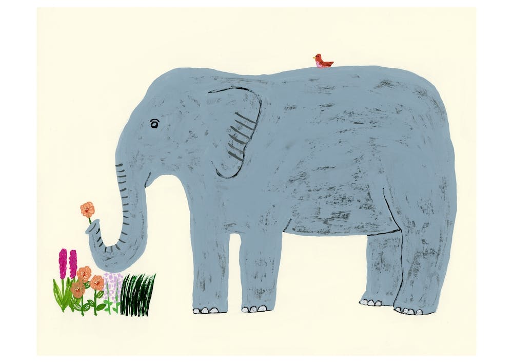 Elephant And Flowers