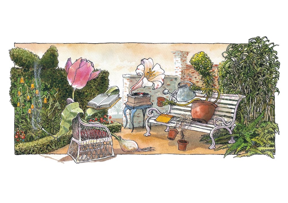 Smart Plants By Izhar Cohen