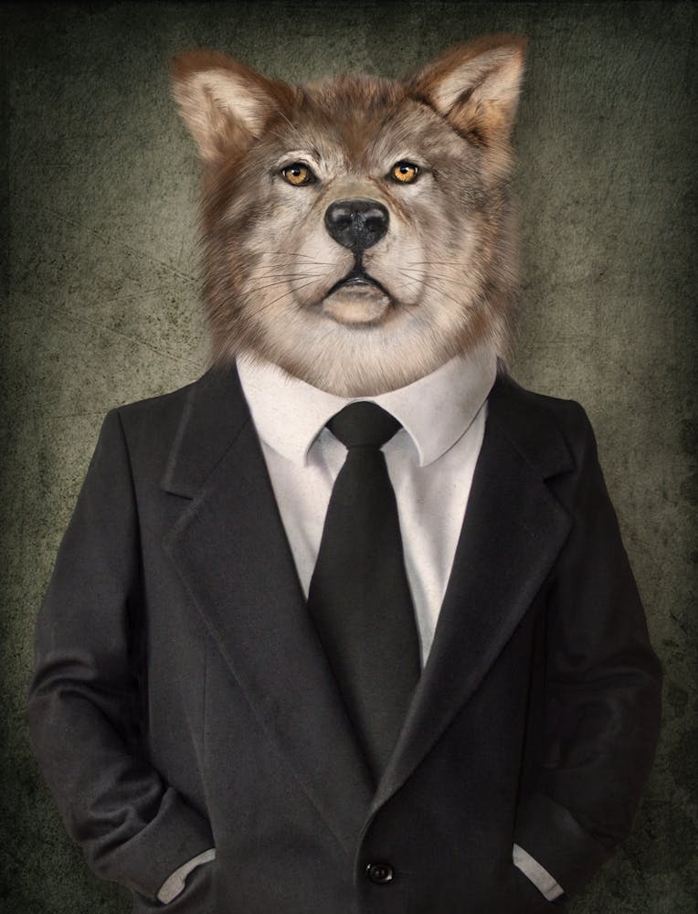 Wolf im Anzug