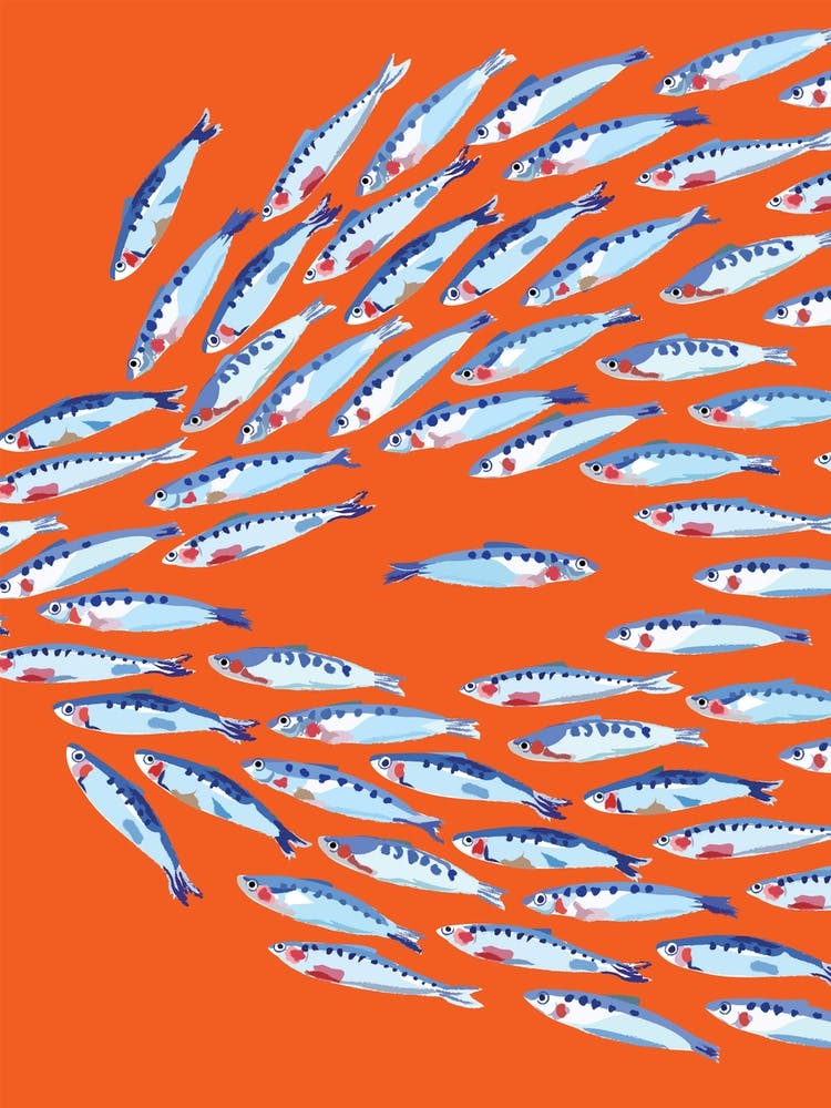 Fischschwarm Maritim Orange