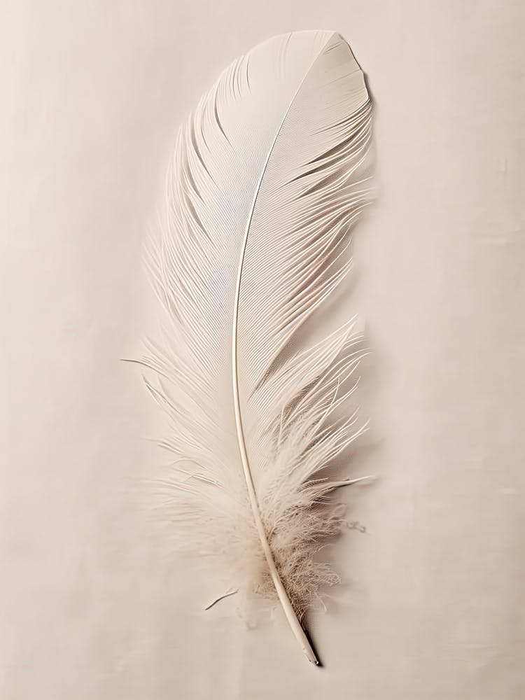 White Feather 3