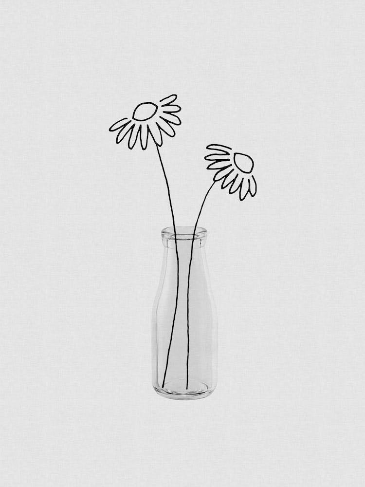 Flower Still LIfe III Line