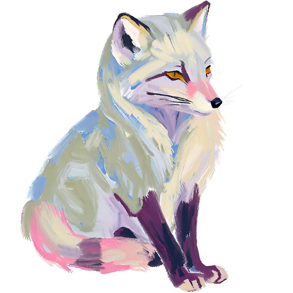 Arctic Fox 02
