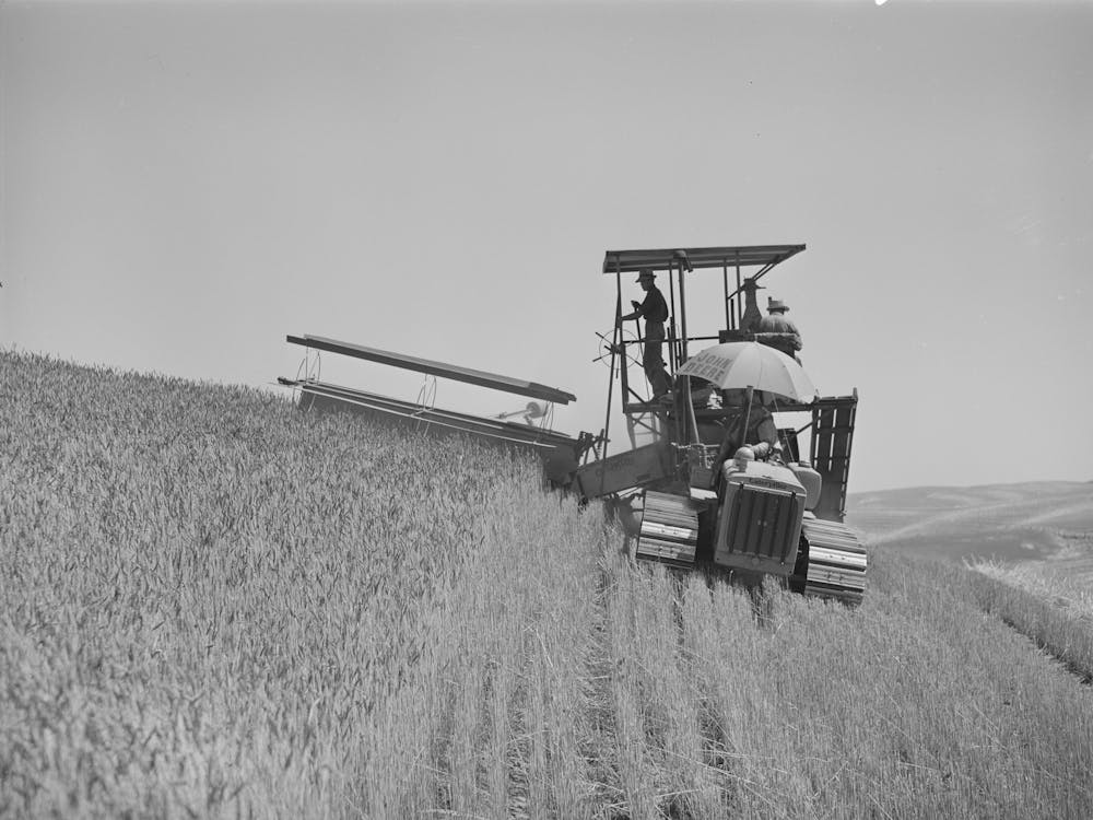 Tractor Drawn Combine, Wheat Fields, Whitman County, Washington By Russell Lee