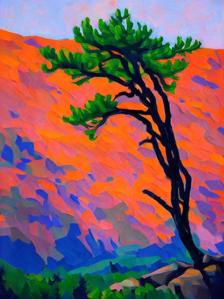 Rocky Mountain Juniper Tree Cubist 1