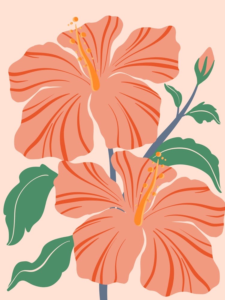 Hibiscus Flower 4