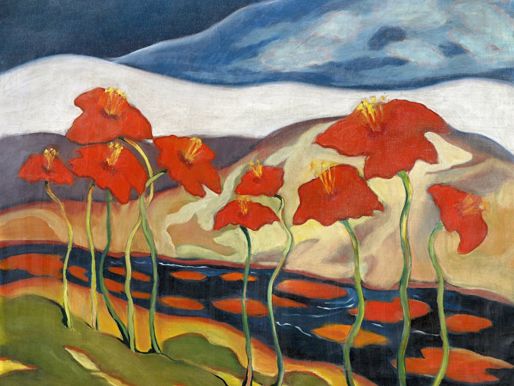 Coquelicots Rouges 7