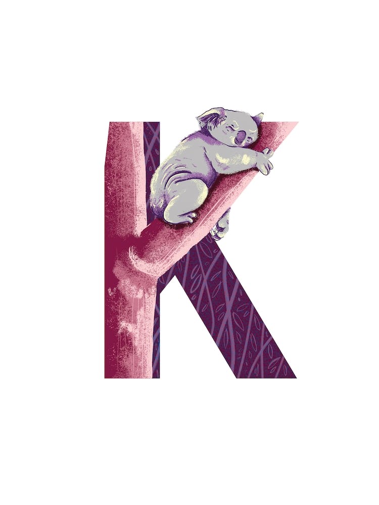 K Is For Koala