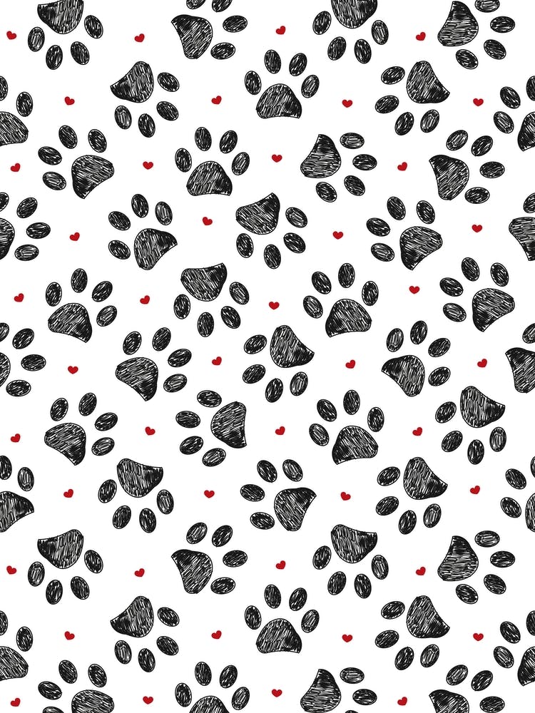 Paws Red Hearts