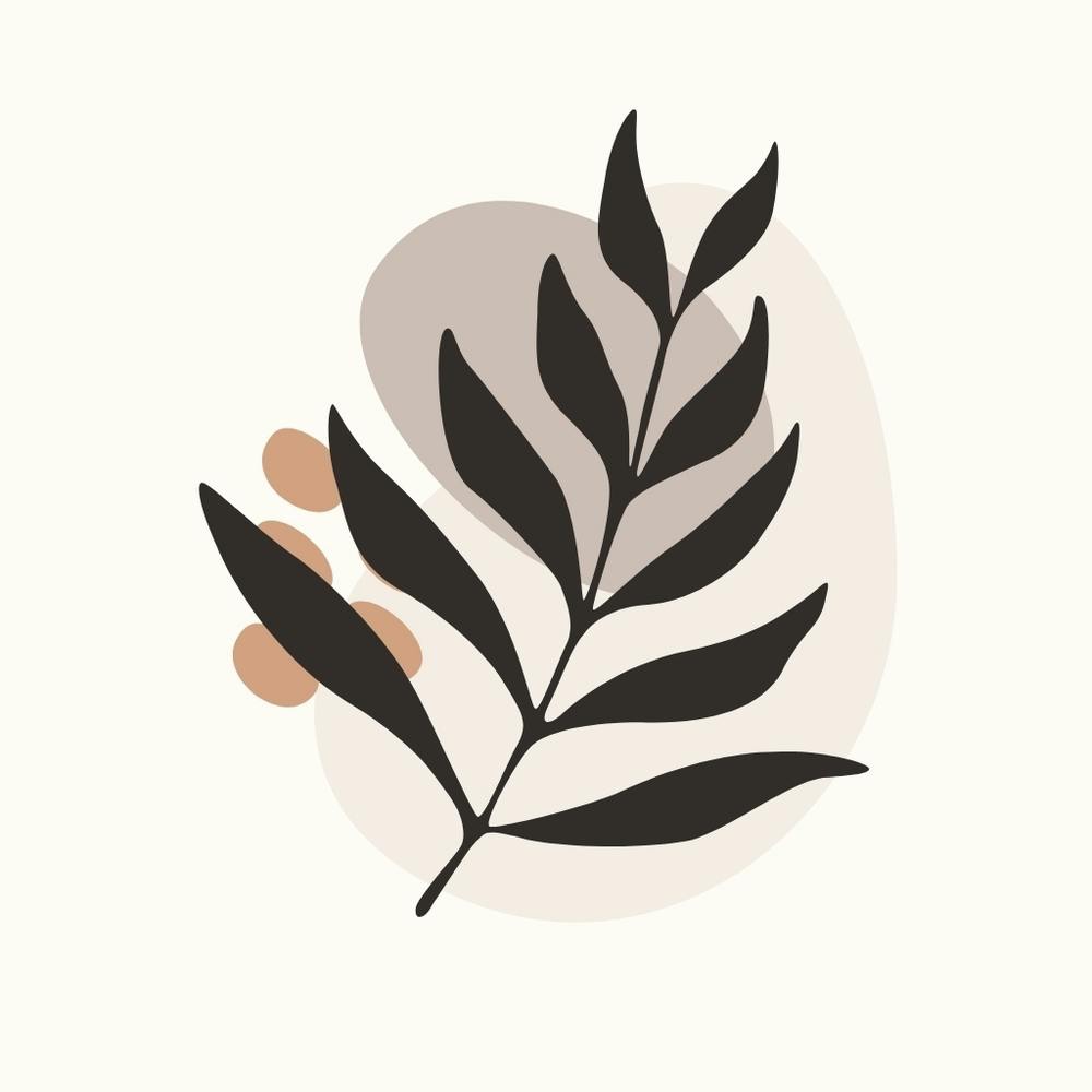 Feuille d'Eucalyptus