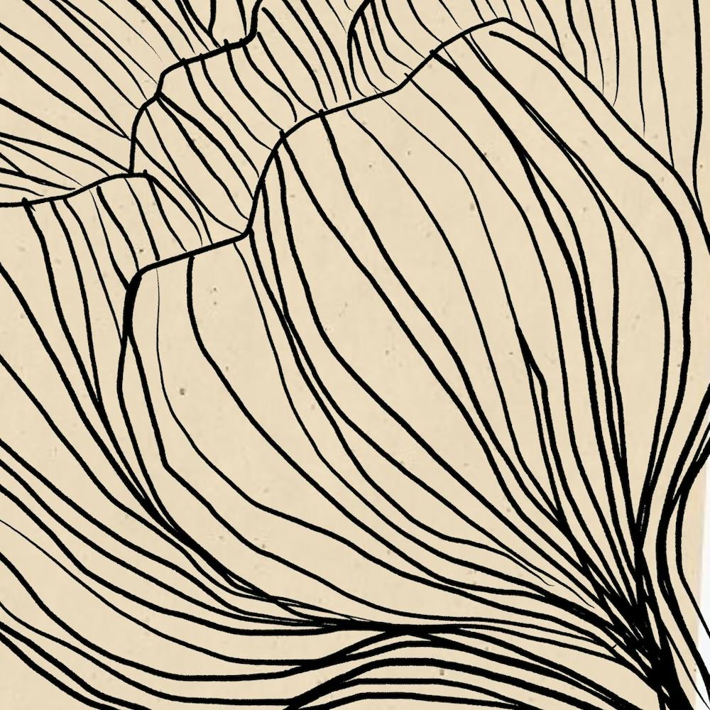 Lily Of The Valley 1