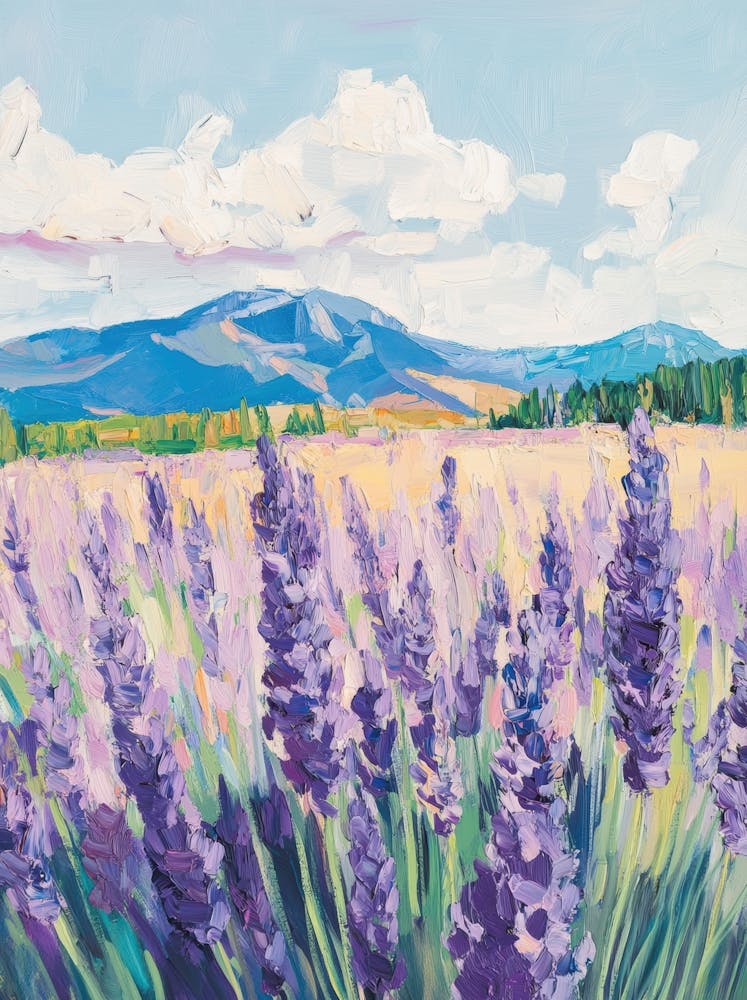 Lavender Field 28