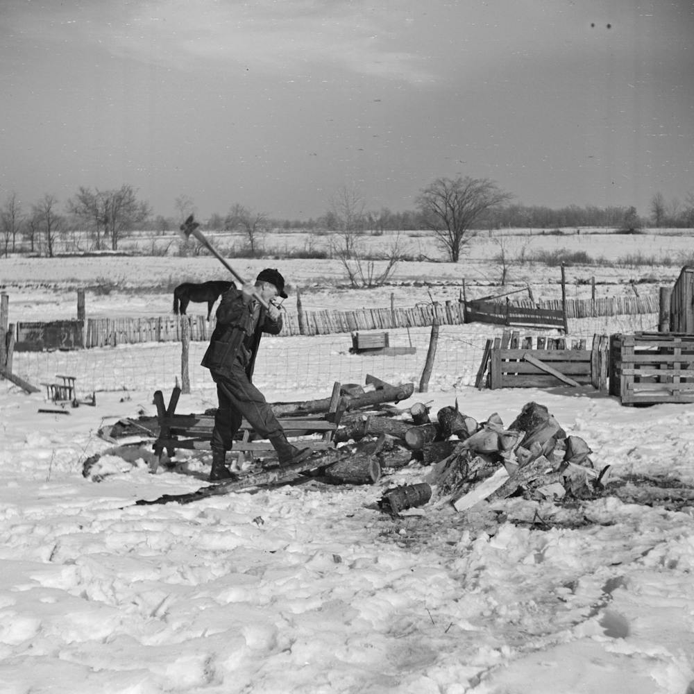 Oscar Gaither, Tenant Farmer, Chopping Wood Near Mcleansboro, Illinois By Russell Lee
