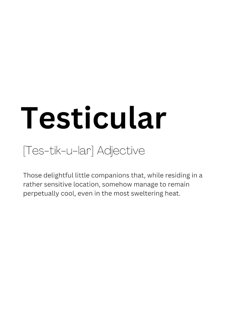 Testicular Definition Meaning