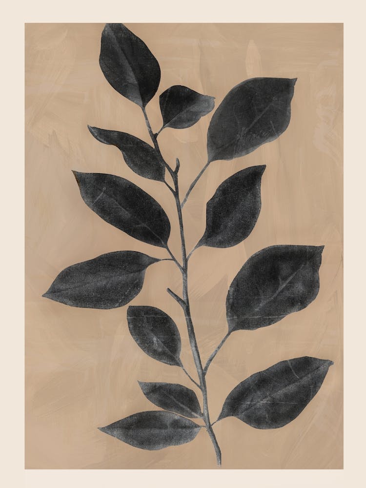 Branch 2