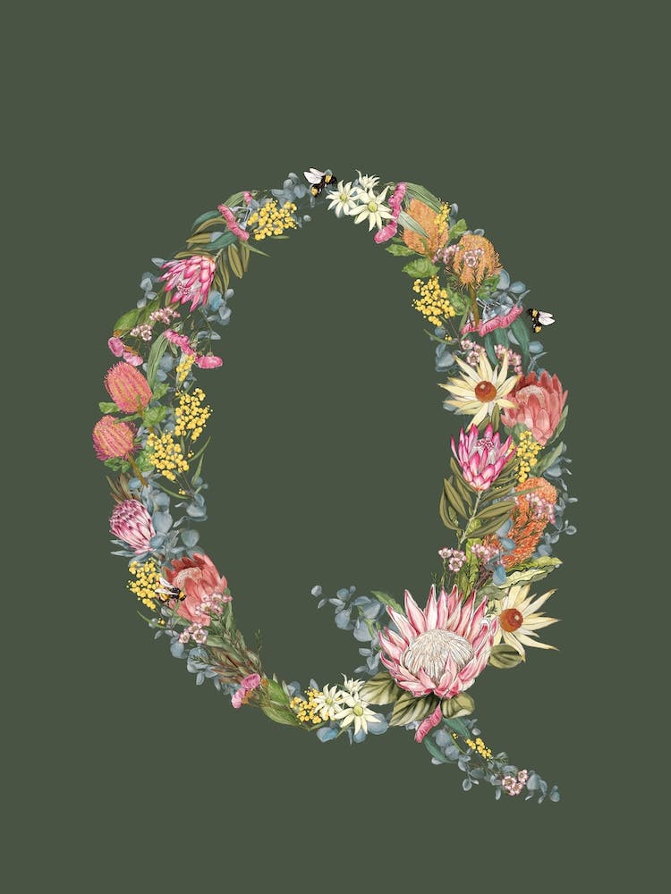 Q Oliven-Alphabetbuchstabe