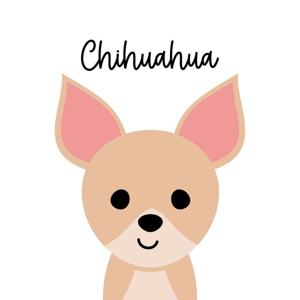 Chihuahua