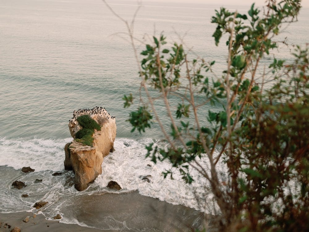 Malibu Bord de Mer 2