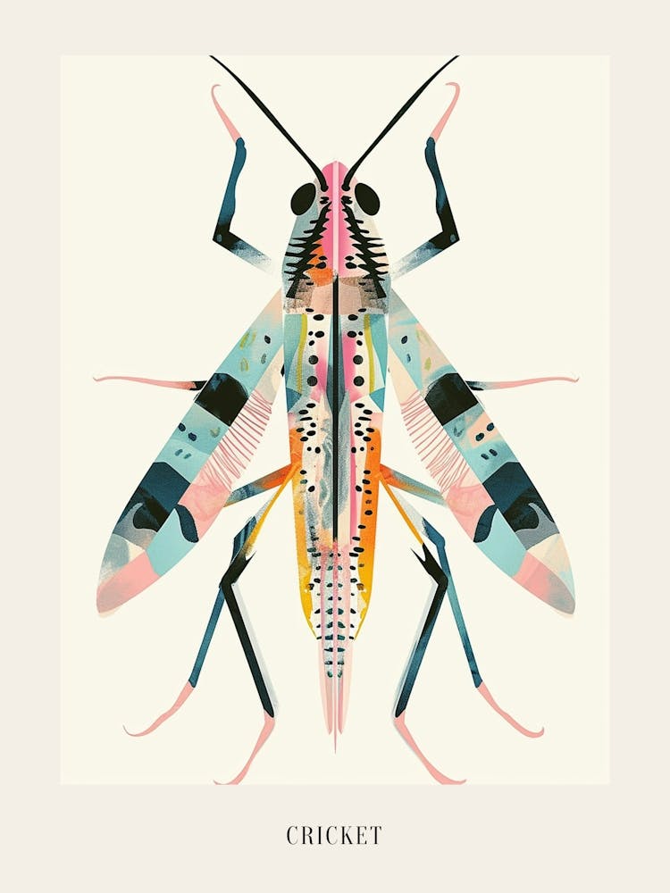 Colourful Insect Illustration Cricket 16 Poster