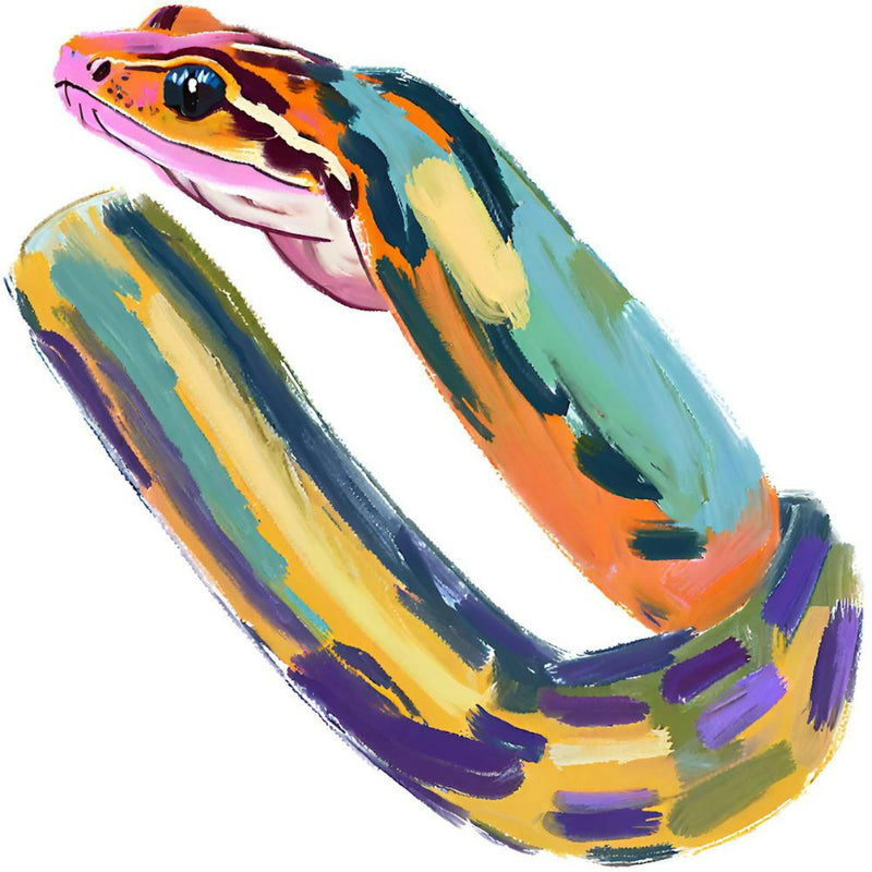 Corn Snake 07