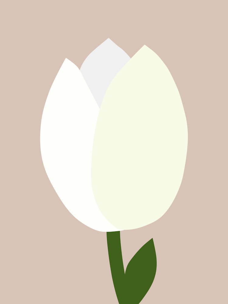 Tulip Beige