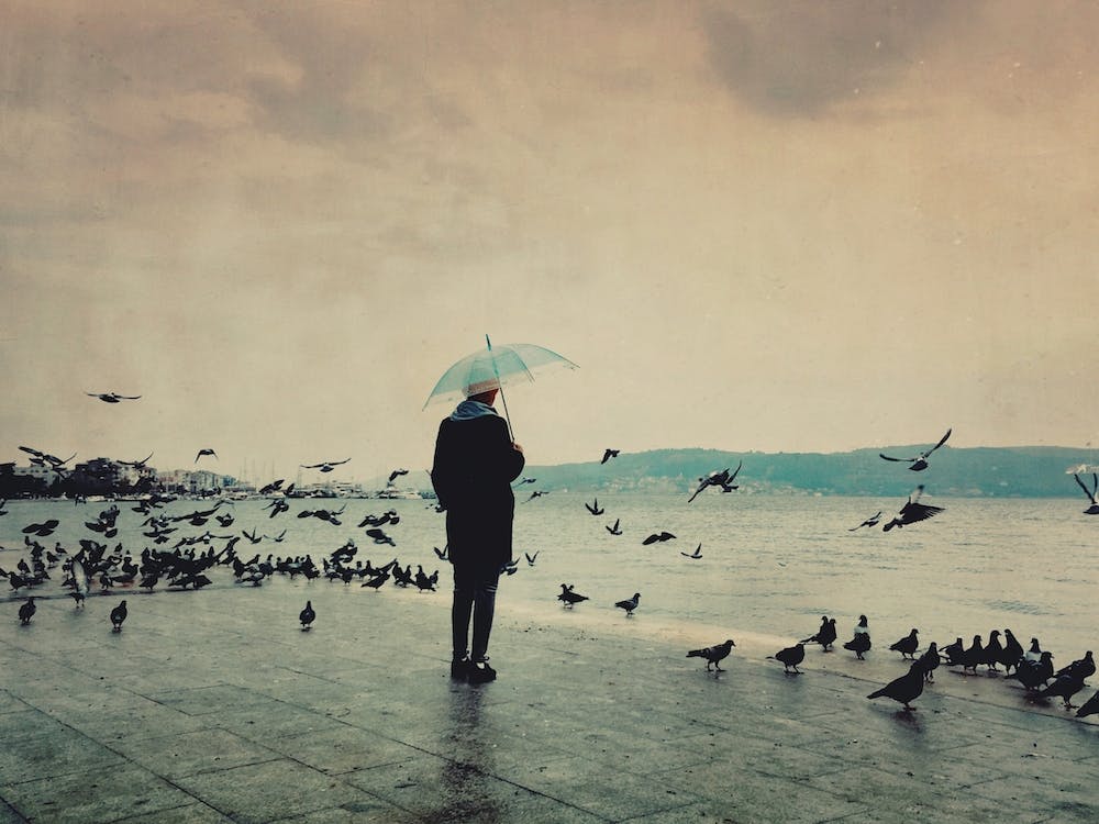 A Rainy Love