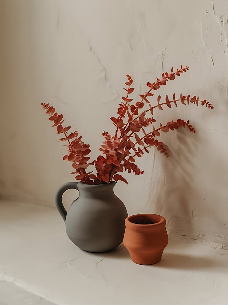 Terracotta Pots