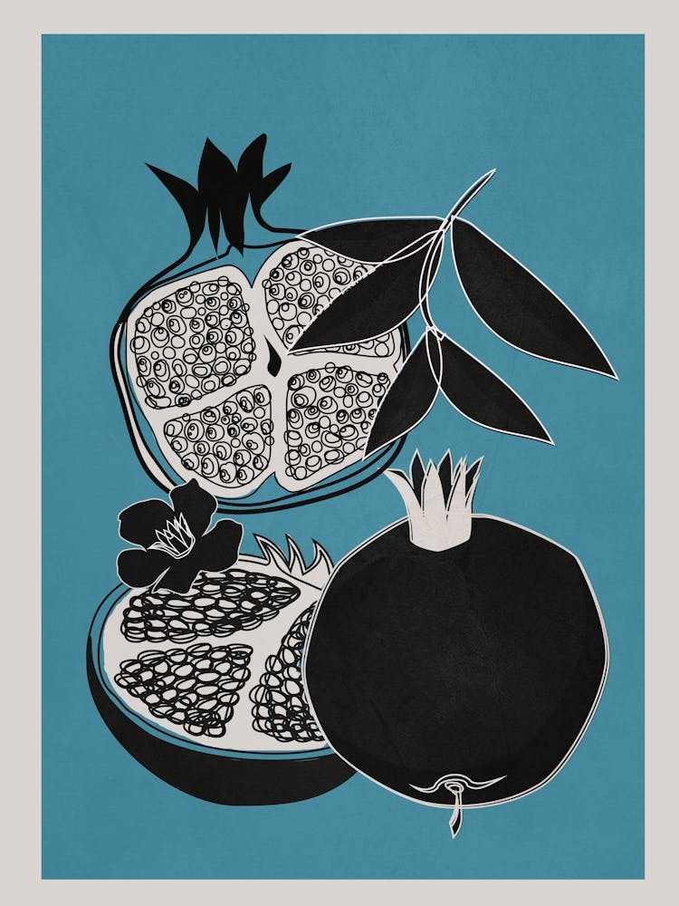 Line Art Pomegranates 2