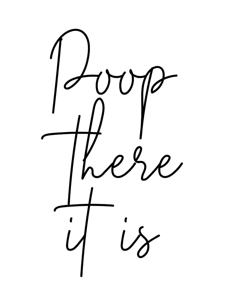 Poop There It Is 2