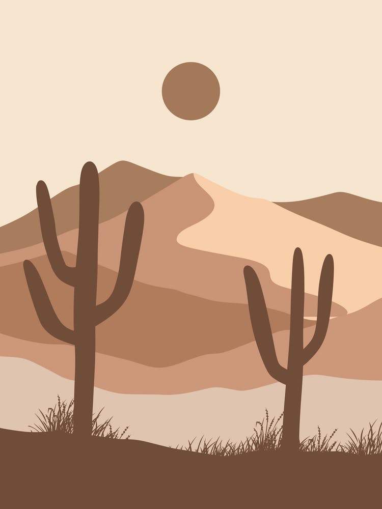 Cactus In The Desert 23