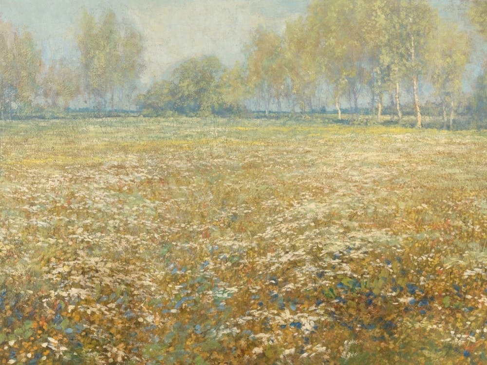 Blühende Wiese