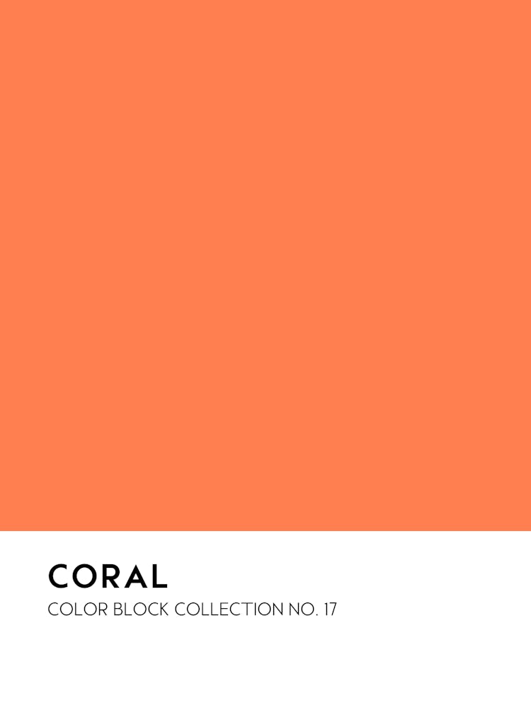 Coral Color Block Collection Wall