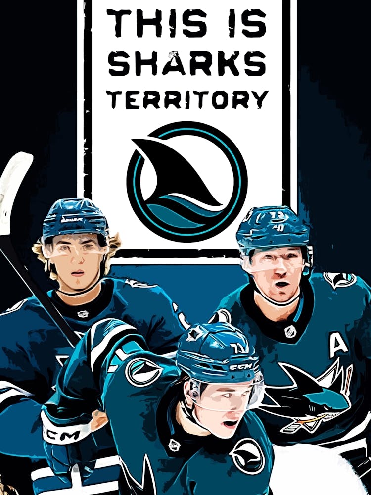 This Is Sharks Territory