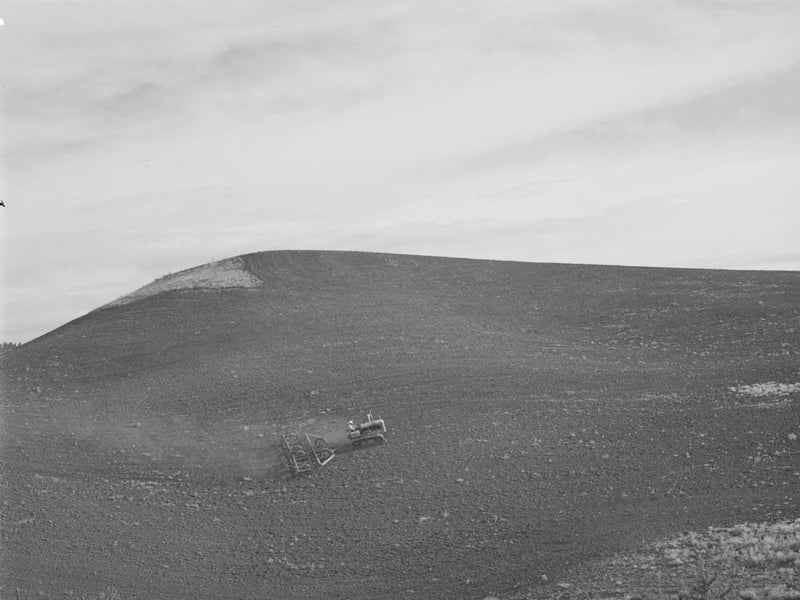 Untitled Photo, Possibly Related To Harrowing Summer Fallow (Wheat Land), Nez Perce County, Idaho By Russell Lee