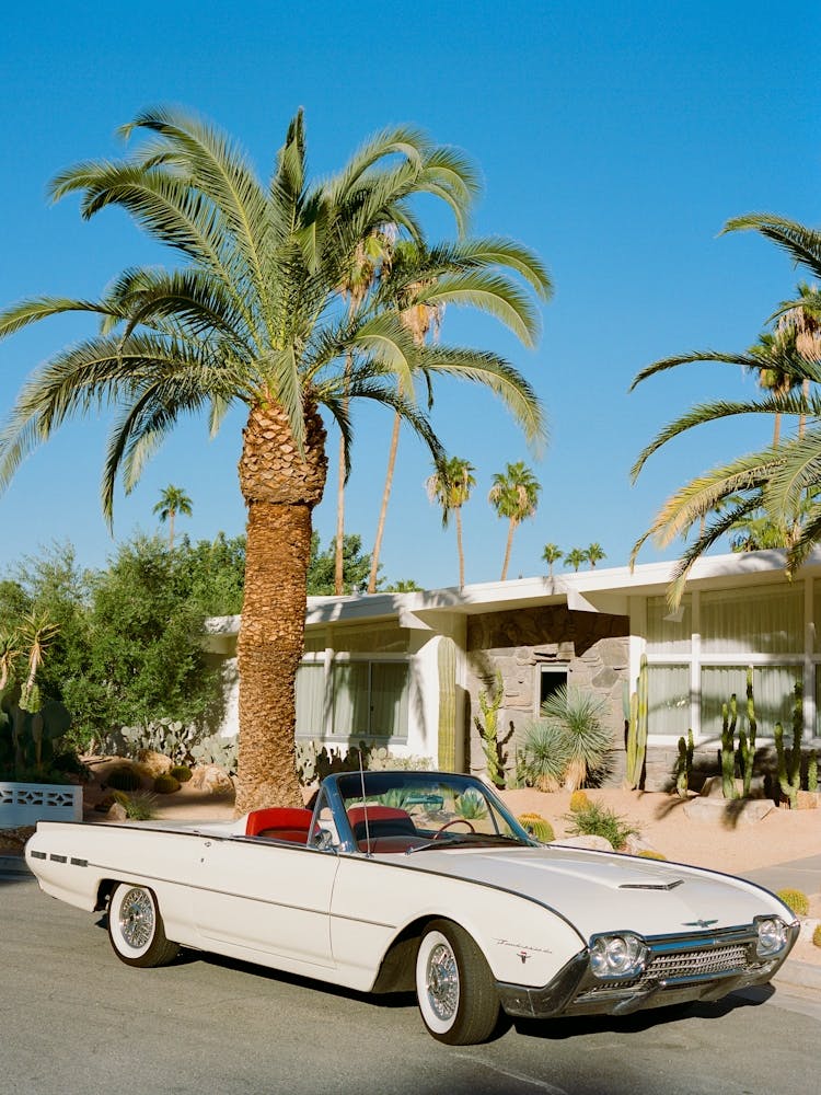 Palm Springs Thunderbird on Film
