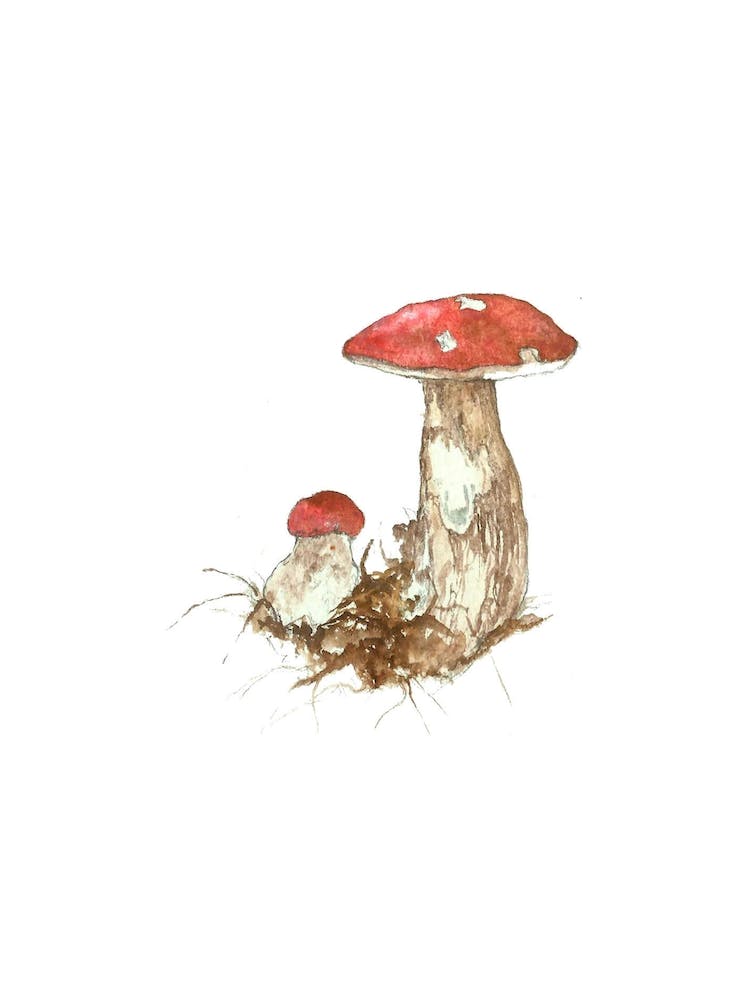 Miniature Toadstool 2