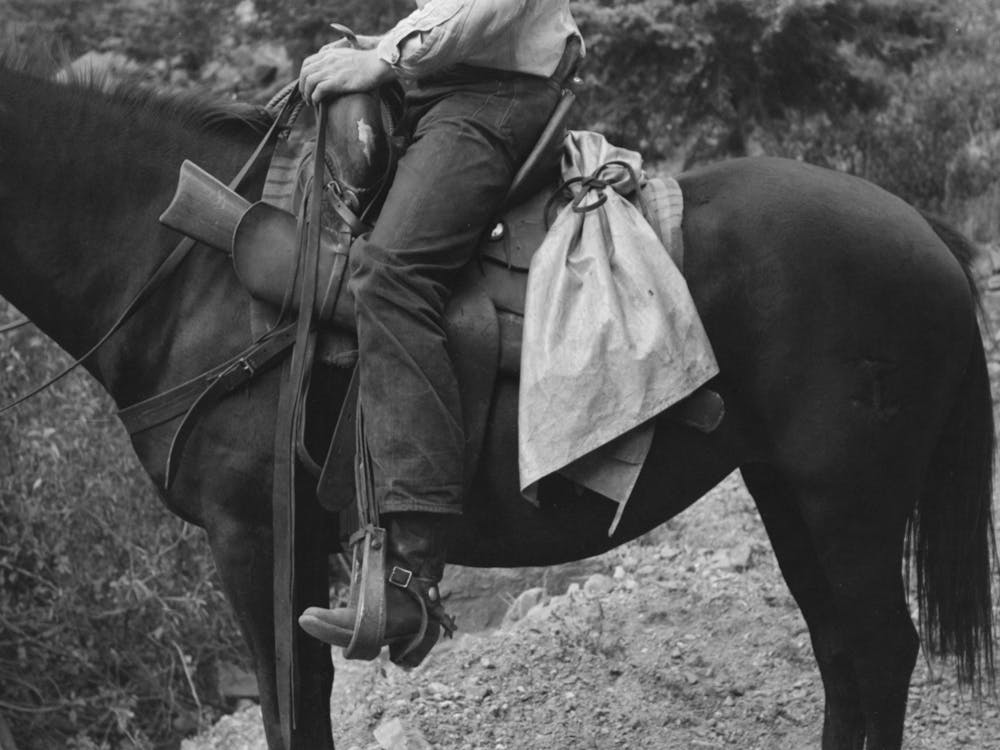 Photo sans titre, Éventuellement liée à un berger à cheval, Ouray County, Colorado Par Russell Lee